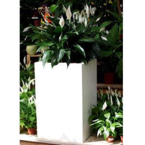 Atraktivní kovový květináč rovných čistých linií nechá vyniknout každé rostlině v interiéru i exteriéru.
